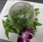 Best Edamame in Phoenixville, PA